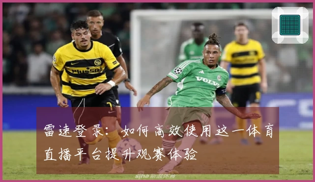 雷速登录：如何高效使用这一体育直播平台提升观赛体验