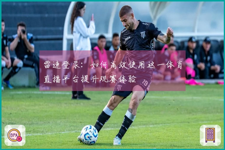 雷速登录：如何高效使用这一体育直播平台提升观赛体验