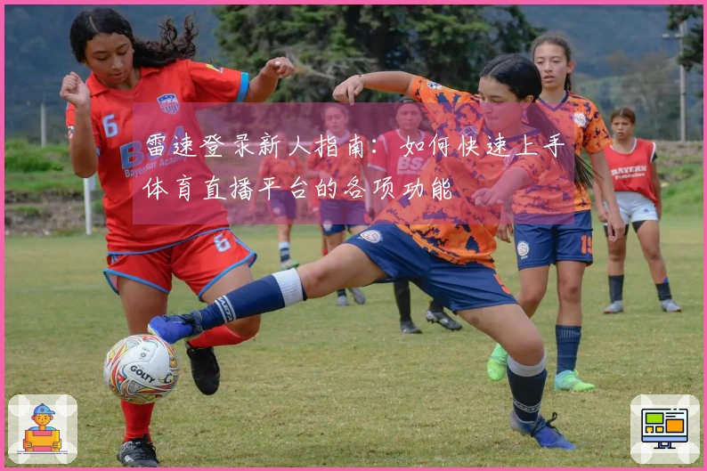 雷速登录新人指南：如何快速上手体育直播平台的各项功能